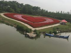 -上海鲜花港
