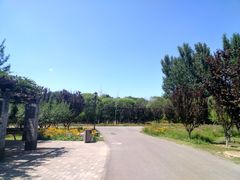 -永定河休闲森林公园