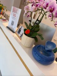 -Dr.林醫生产后修复·配方产康店(南京大厂店)