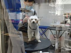 -Oh My Dog宠物沙龙(伊珊娜皮毛护理店)