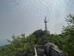 -紫金山山顶公园