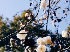 -东湖生态旅游风景区