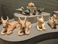 -广西壮族自治区博物馆