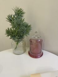 -VE专注问题肌·赛诺龙&科学美肤中心