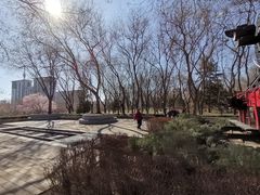-玲珑塔公园