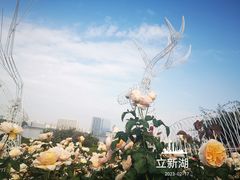 -立新湖公园