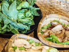 -滇野云南野生菌餐厅(陕西南路店)