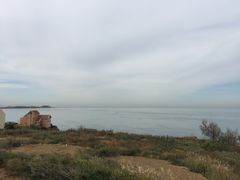 -北方饺子王·海肠捞饭·海鲜锅(山大店)