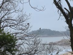 -普陀山风景区-佛顶山