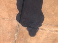 -济南方特东方神画