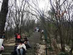 -紫金山山顶公园