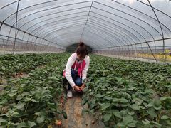 -铁山坪森林公园