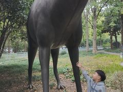 -无锡动物园·太湖欢乐园