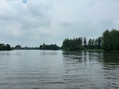 -溱湖国家湿地公园