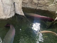 -青青世界