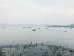 -湖畔居茶楼(湖滨店)