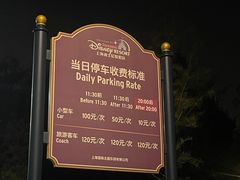-迪士尼乐园停车场