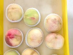 -老袁家蜜桃农场·阳山水蜜桃