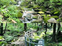 -三块石国家森林公园
