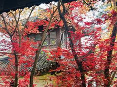 -木子山庄·安徽省老字号·中国炖锅宴