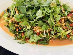凉拌鲫鱼-悦哉·派对·草坪婚礼·围炉煮茶(三圣乡店)