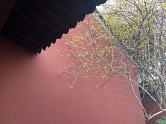 -钱王祠