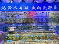 -青蓬蒸汽海鲜·深圳老字号·团建聚会(壹方城店)
