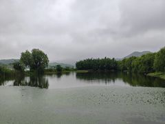 -鸣鹤古镇