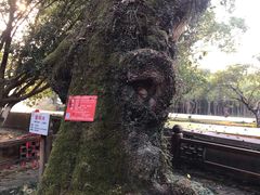 -桂林灵渠景区