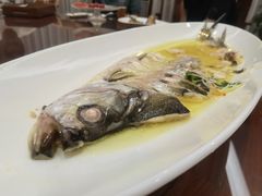 -鲁宴·鲁煨黄河生态大鲤鱼(月坛店)