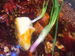 -四小区火锅·巷子里的重庆火锅(花照壁店)