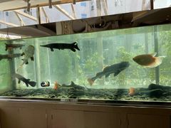 -衡山汇·高级粤菜(霄云路店)
