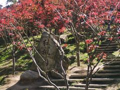 -广州市帽峰山景区