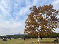 -钟山体育运动公园