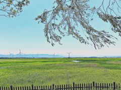 -野鸭湖国家湿地公园