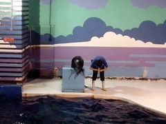 海狮表演-太平洋海底世界
