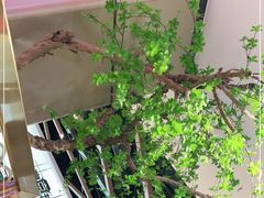 -韩宫宴烤肉·料理(如皋万达店)