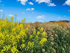 -中国天府农业博览园