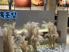 -黑豚黨韩国烤肉料理(悦然时光店)