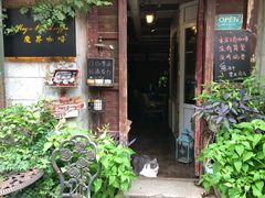 -黎黄陂路街头博物馆