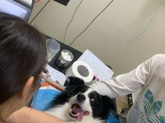 -美联众合动物医院·24h转诊中心