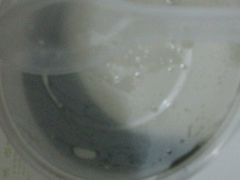 -鞠氏黑芝麻糊(水塔店)