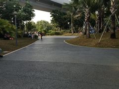 -宝安西湾红树林湿地公园