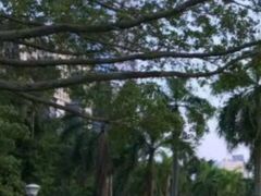 -南宁南湖公园