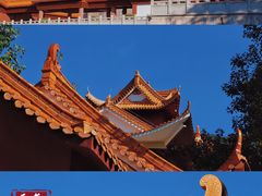 -深圳市中科院仙湖植物园