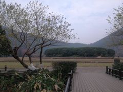 -八卦田遗址公园