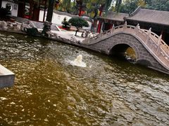 -碑林公园