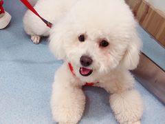 -宠颐生中康贝怡动物医院