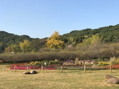 -苏州上方山国家森林公园