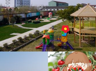 夏日来果园体验不一样的欢乐吧